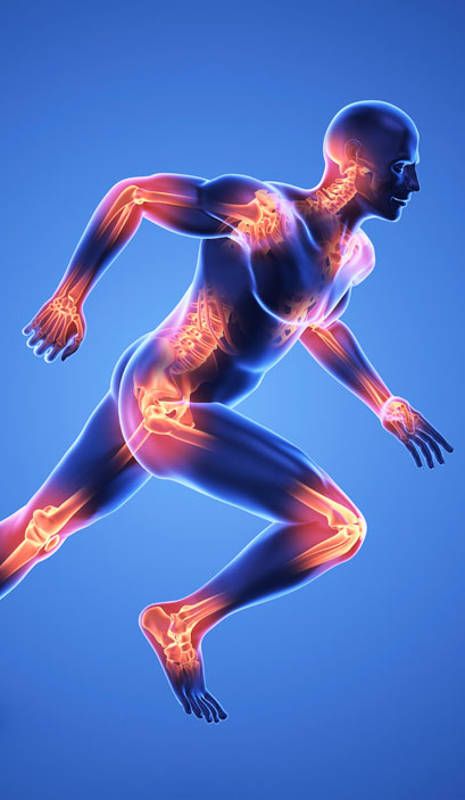 Crema con Veneno de Abeja para el Cuidado de Articulaciones