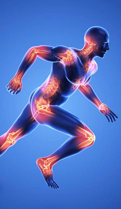 Crema con Veneno de Abeja para el Cuidado de Articulaciones